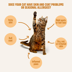 ivvi skin coat cat salmon oil ingredient provides moisture for the coat.