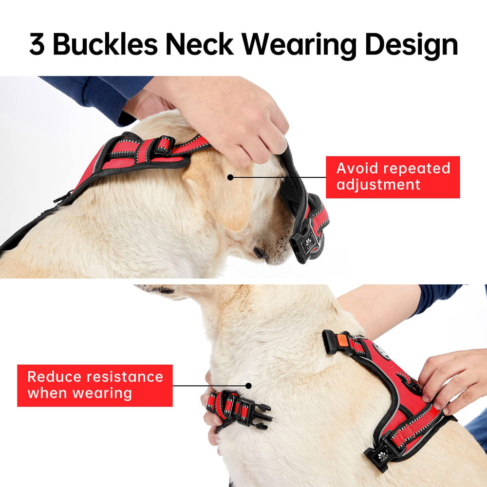 IVY&LANE back clip harness red provides versatile leash options and secure control