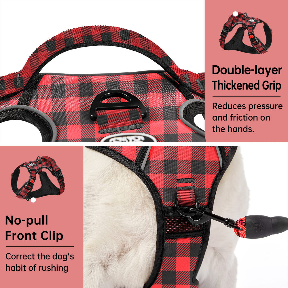 IVY&LANE harness back attachment supports calm walks.