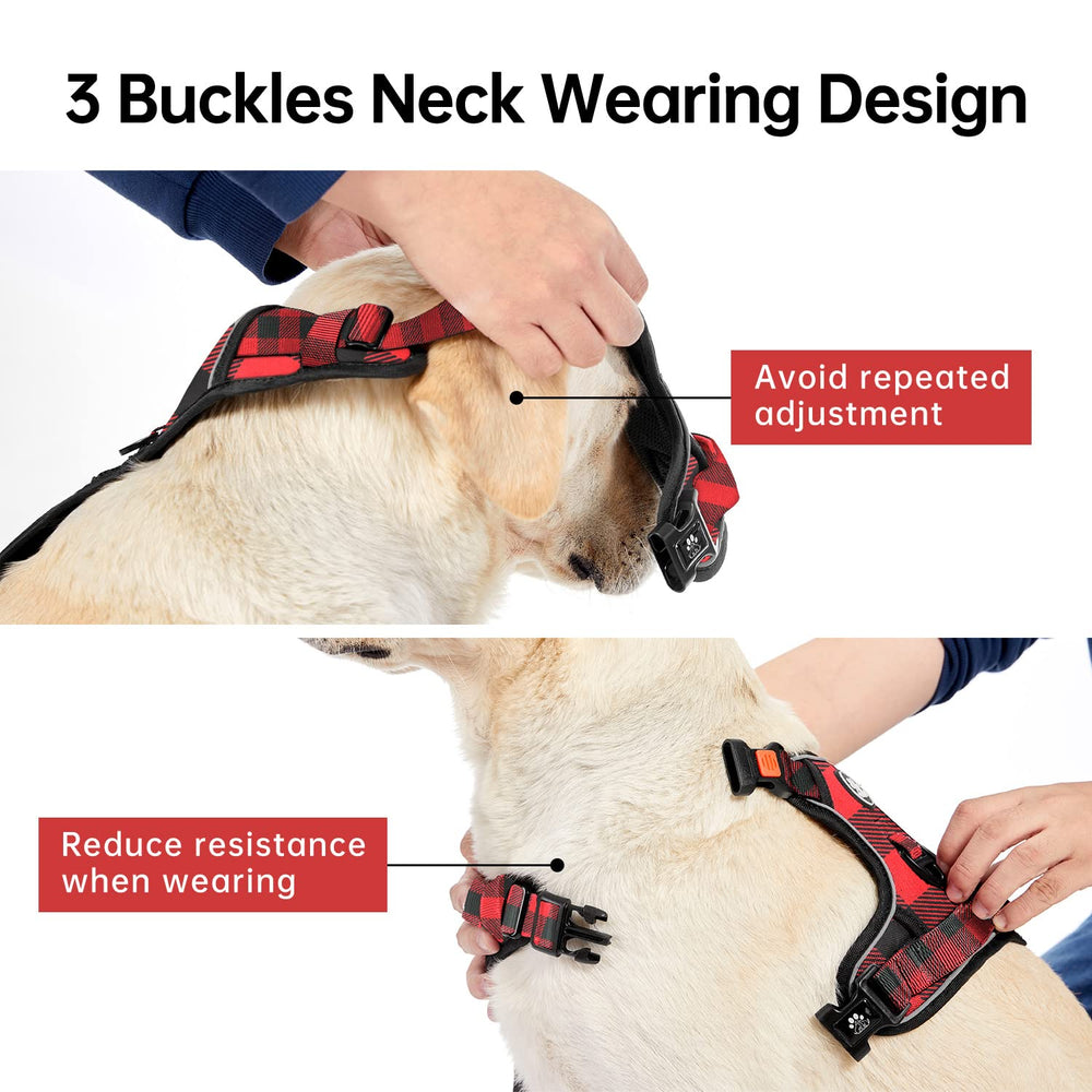 IVY&LANE harness front attachment aids training sessions.