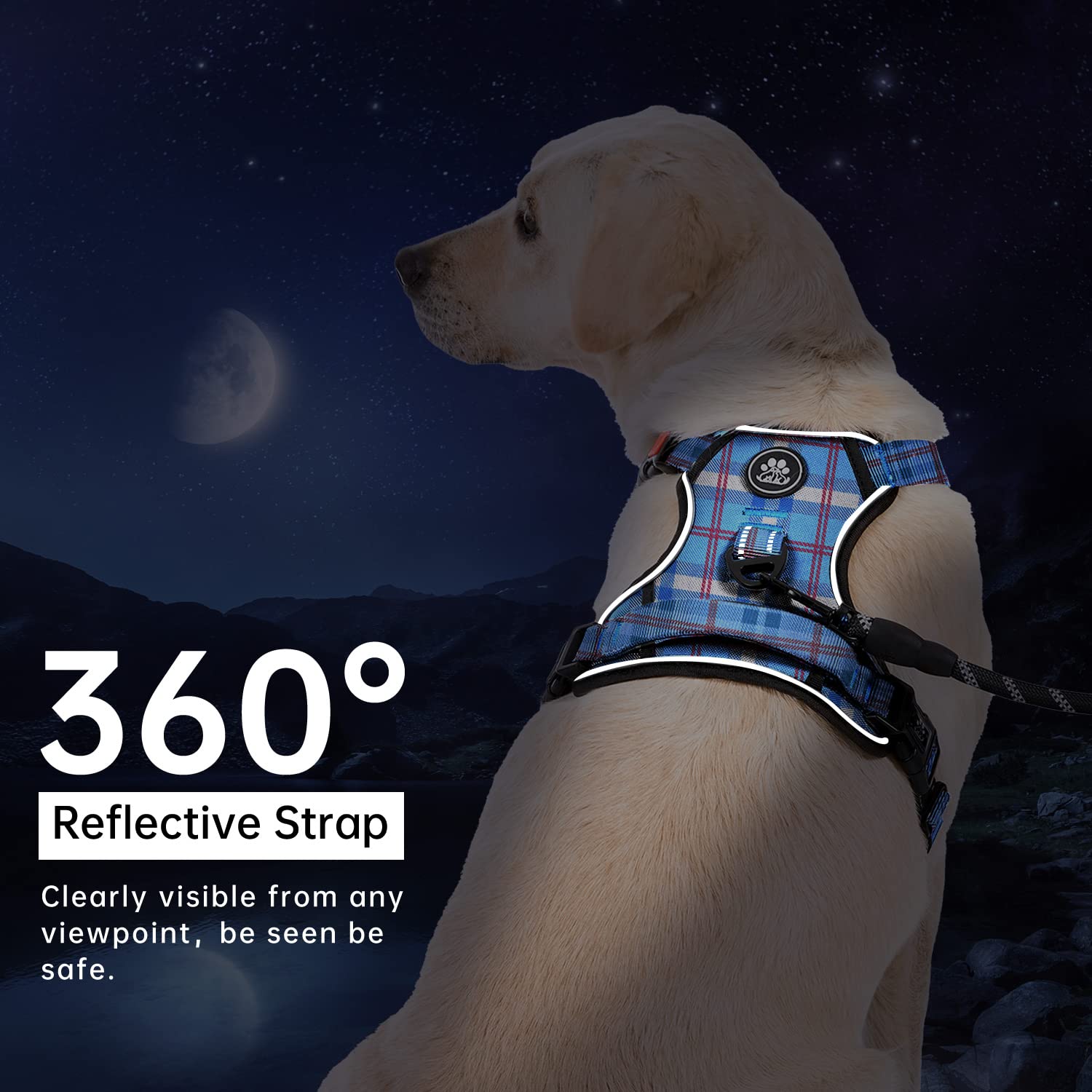 IVY&LANE Leash system with storage strap demonstrates versatile walking setup