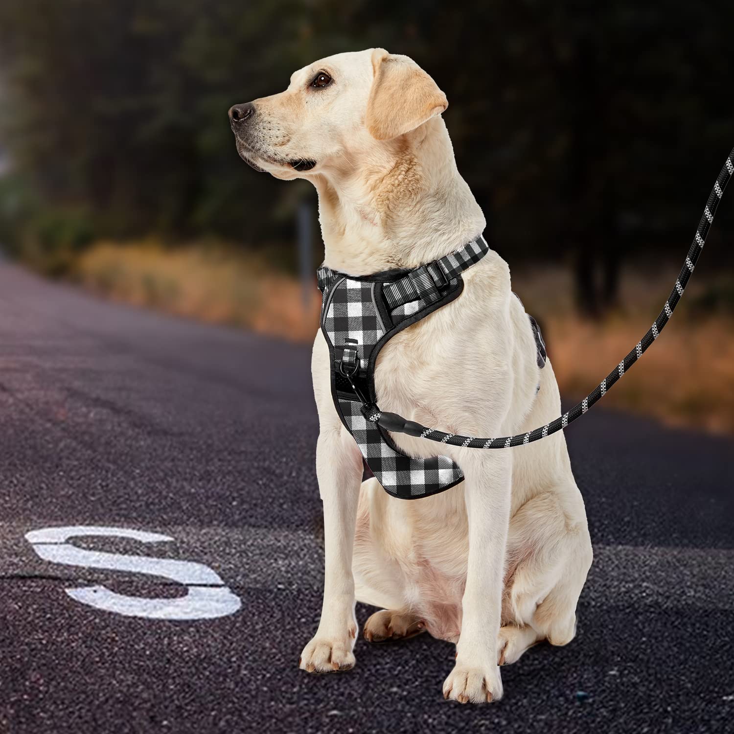 IVY&LANE Night-reflective-strips boost visibility and safety on evening strolls.