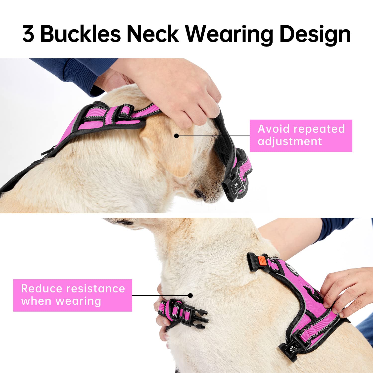 IVY&LANE No Pull Harness front and back clips provide secure control during walks.