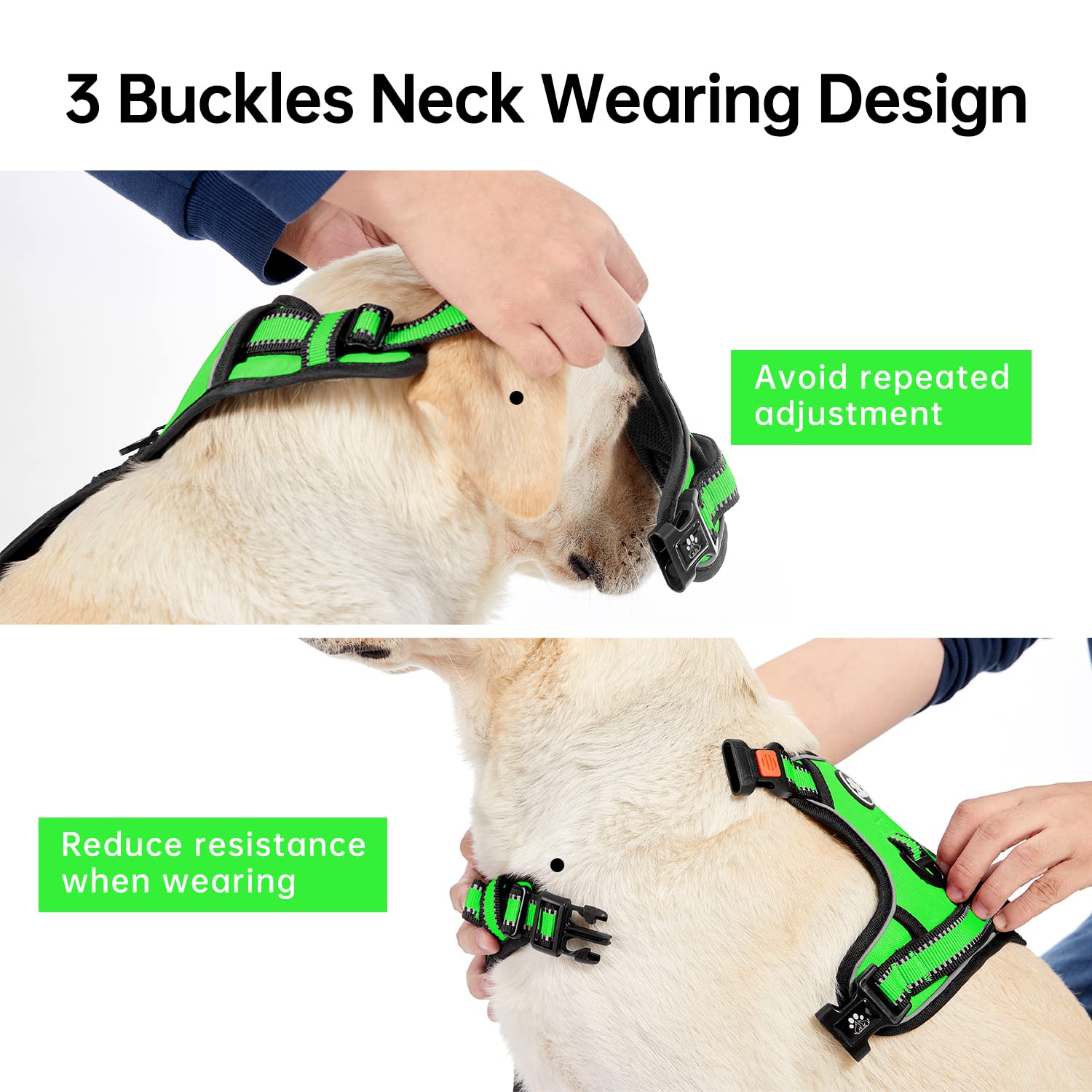 IVY&LANE No Pull Harness features 5 adjustable webbing for perfect fit