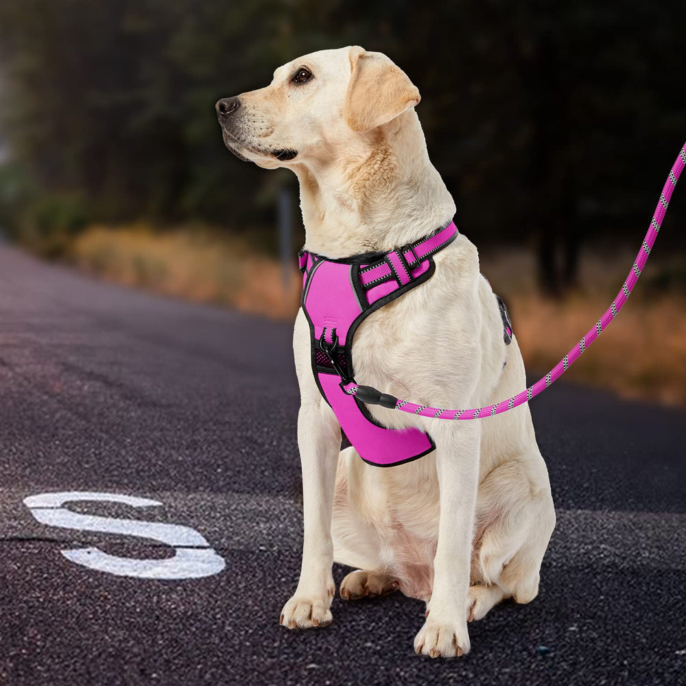 IVY&LANE No Pull Harness fuchsia pink XL is easy to find on walks