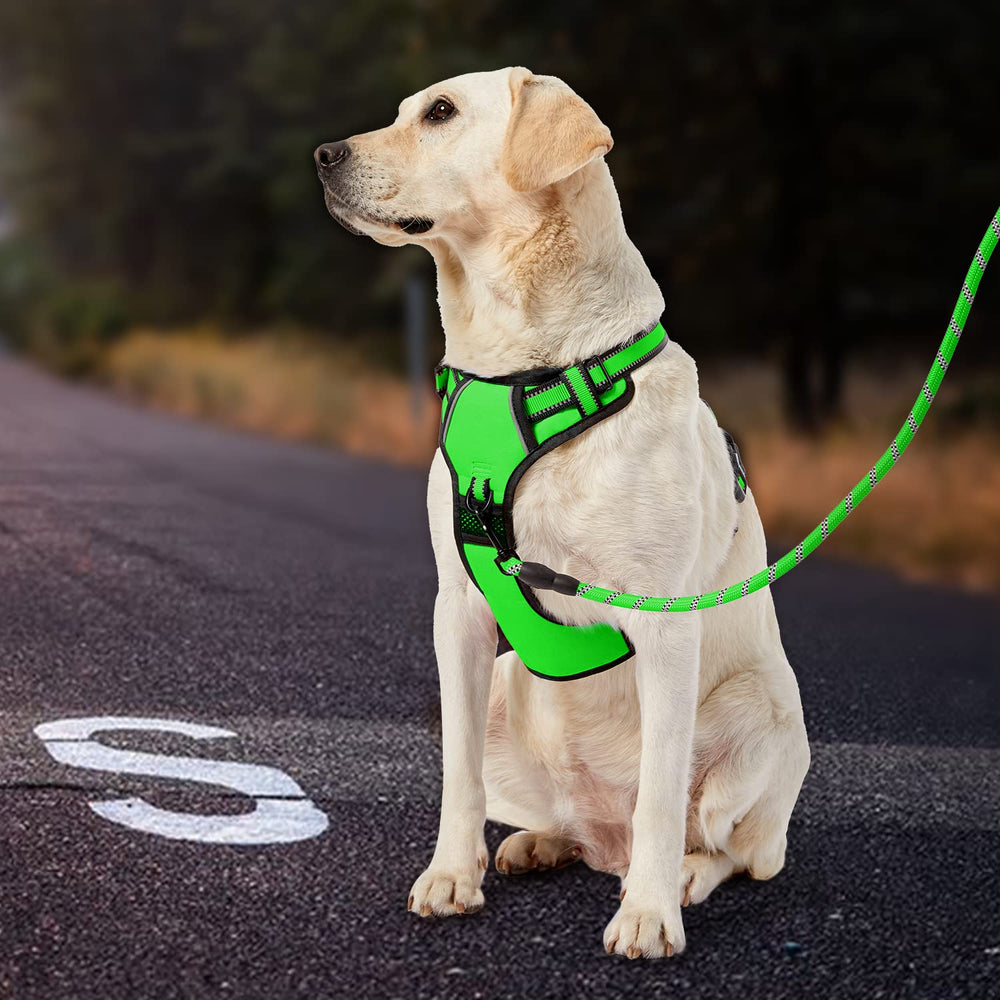 IVY&LANE No Pull Harness full setup in green with leash and straps