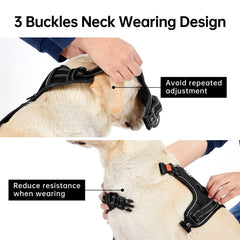 IVY&LANE No Pull Harness reflective strips glow for night visibility