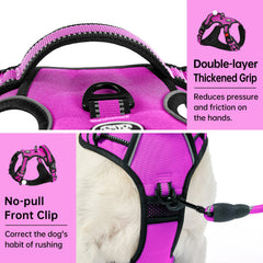 IVY&LANE No Pull Harness soft handle provides comfortable grip during walks