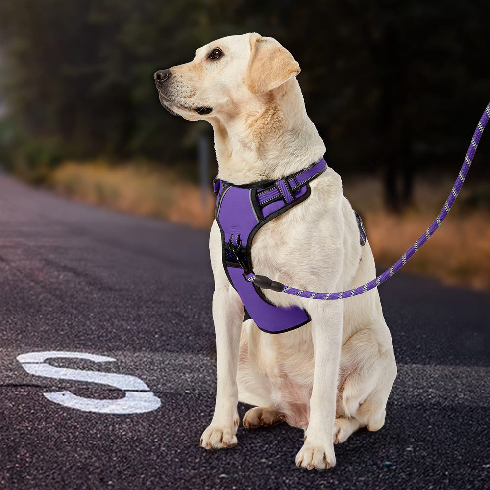 IVY&LANE No Pull Harness storage-strap image shows compact storage for leash.