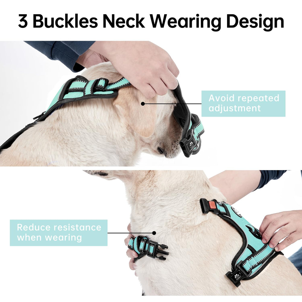 IVY&LANE Adjustable webbing ensures snug fit without choking.