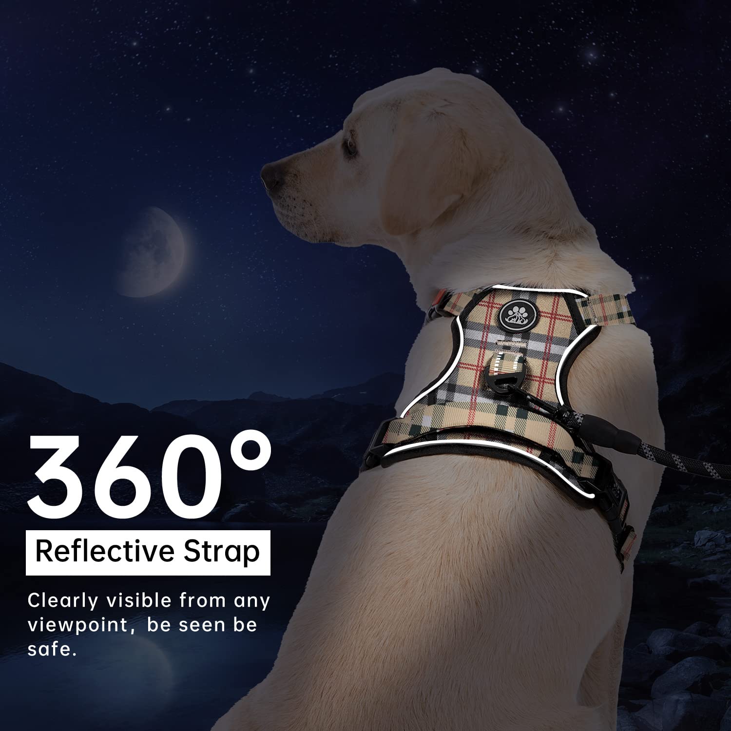 IVY&LANE back clip supports walking control and tag attachment
