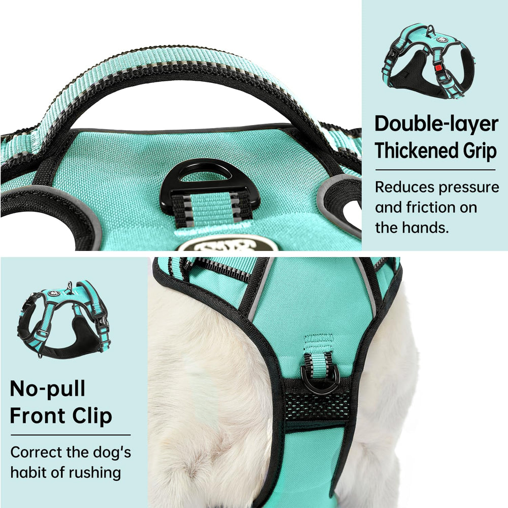 IVY&LANE Dog harness set with leash and retractable seatbelt.
