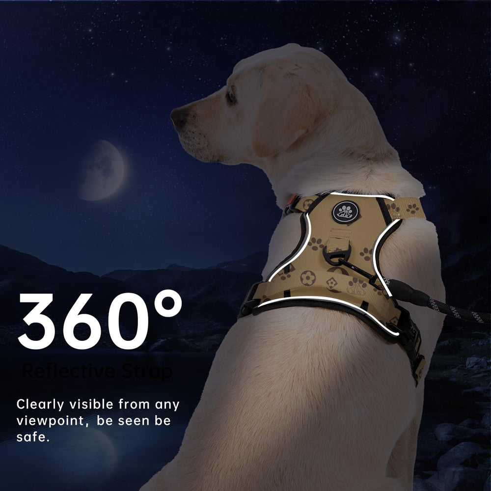 IVY&LANE Dog walking comfort use case showing safe, confident strolls