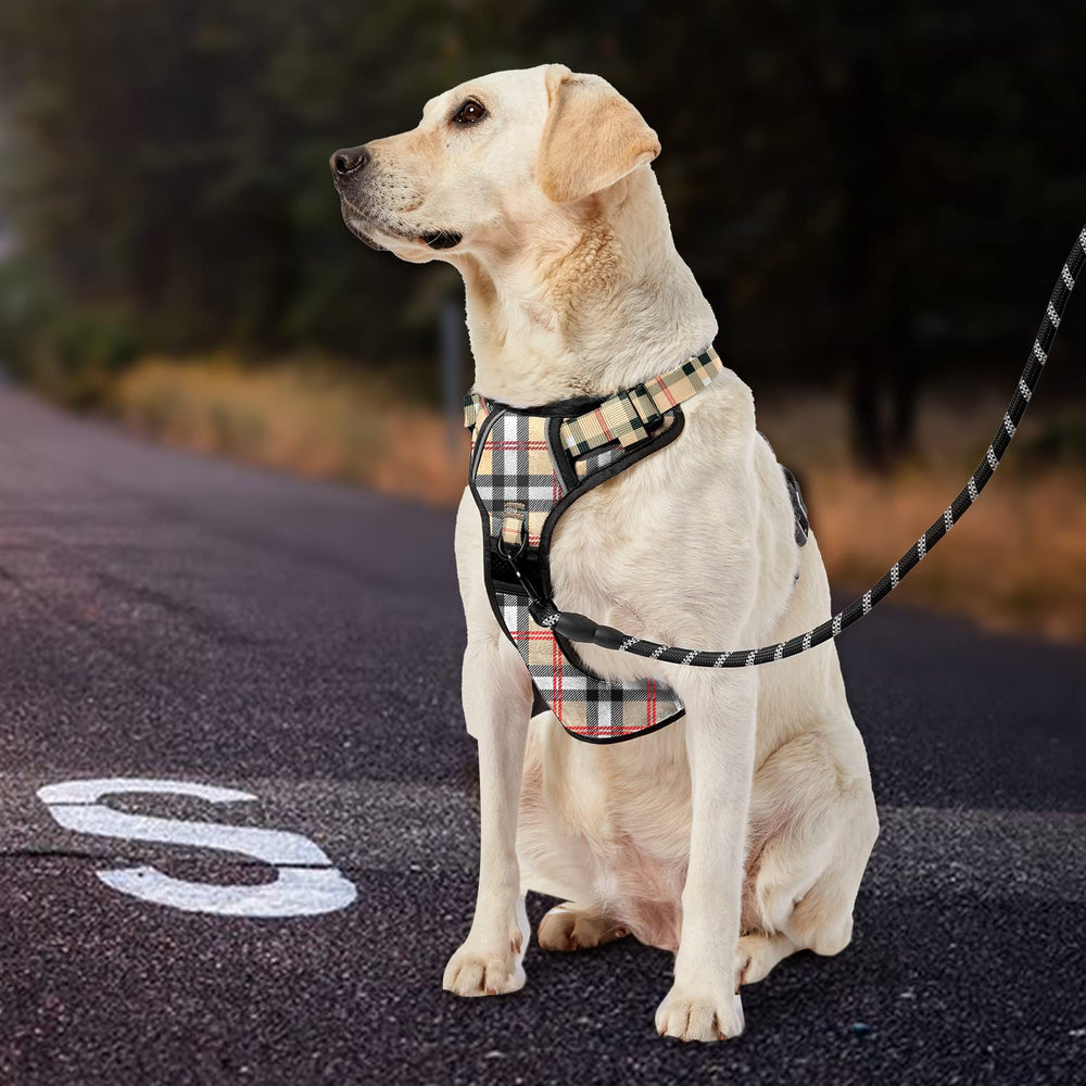 IVY&LANE Easy-Control Handle on vest aids gentle supervision during walks.