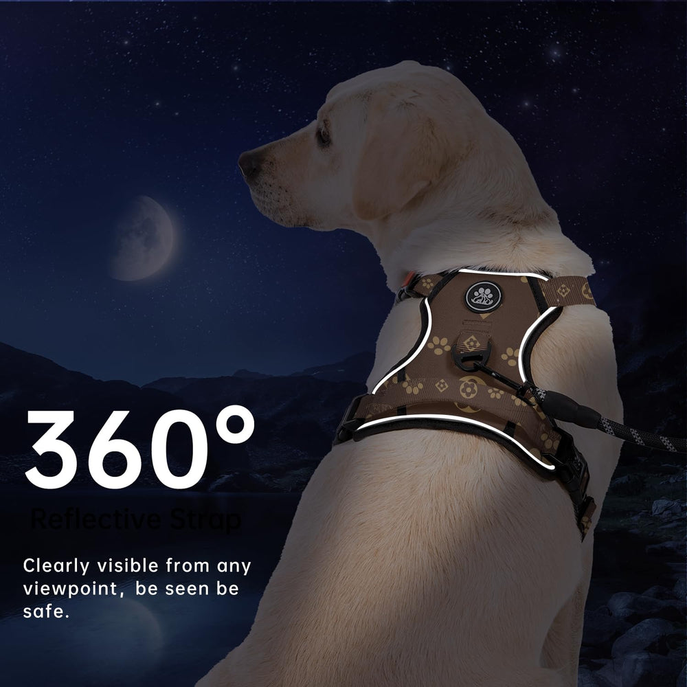 IVY&LANE easy-on neck-design reduces stress during harnessing.