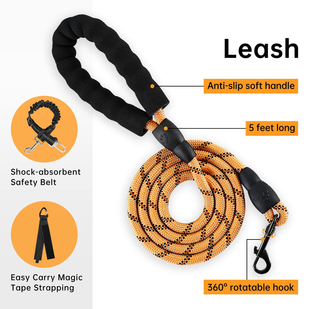 IVY&LANE harness with front and back clips demonstrates controlled walking during daily strolls.
