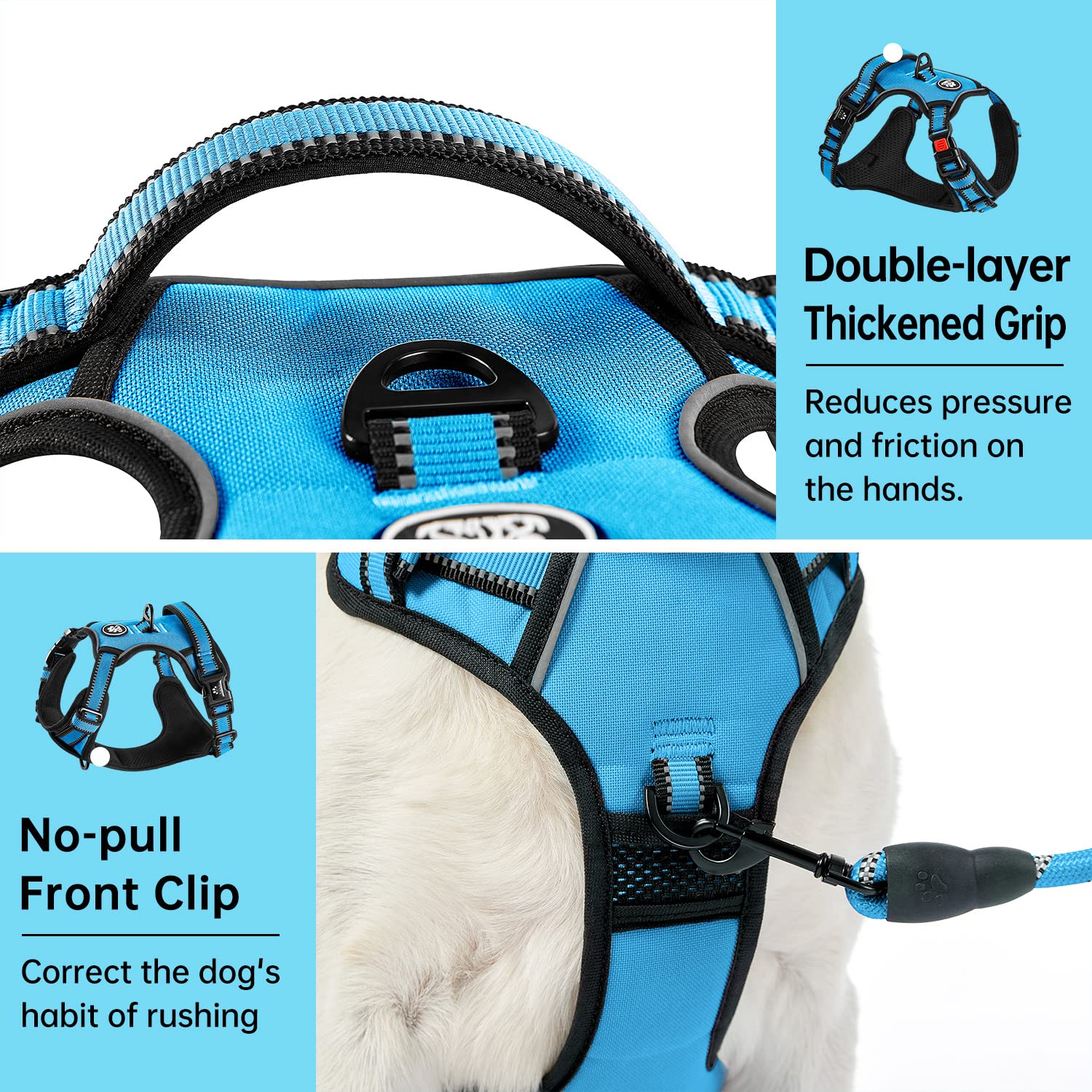 IVY&LANE safety belt and leash included for a complete training setup