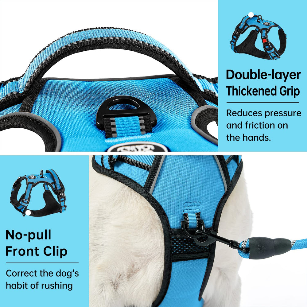 IVY&LANE safety belt and leash included for a complete training setup