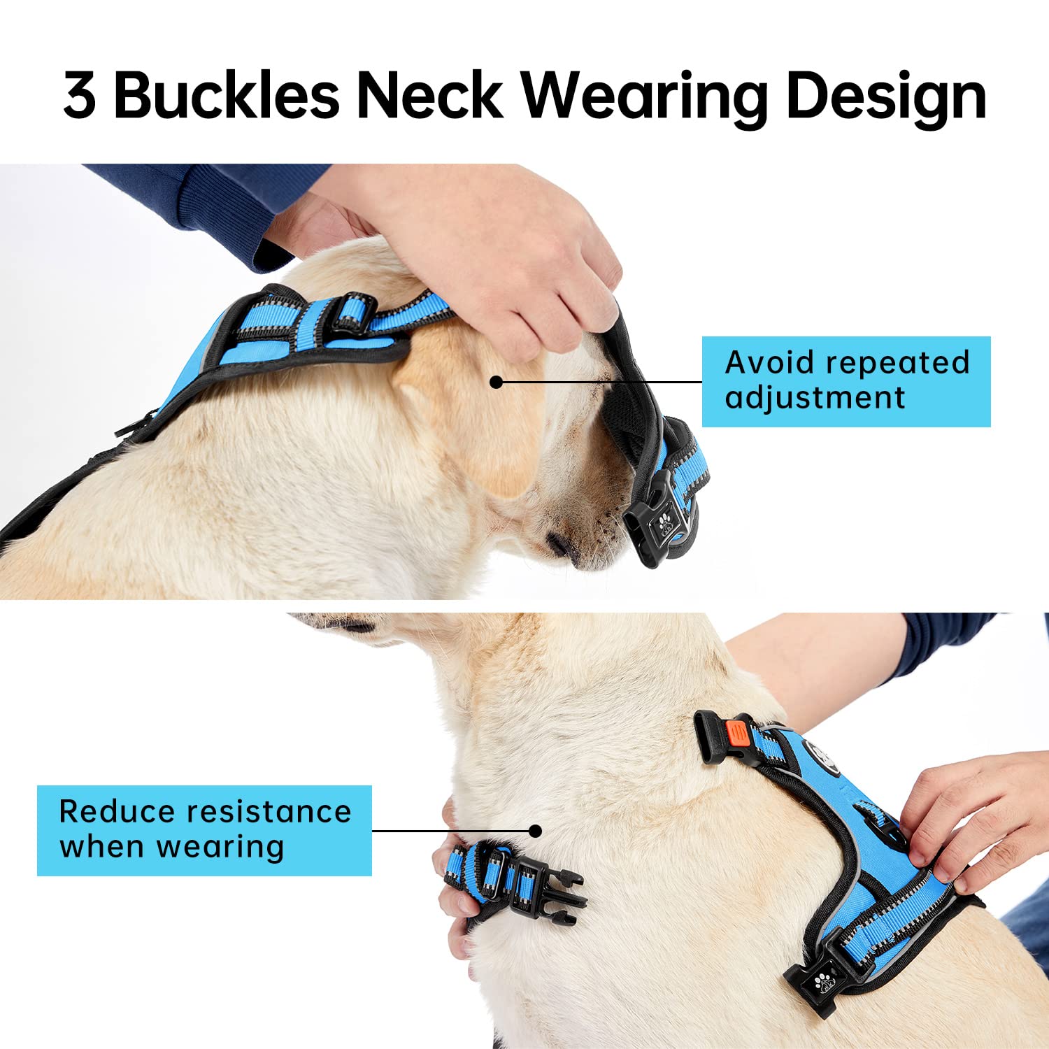 IVY&LANE blue harness with storage strap for quick leash access
