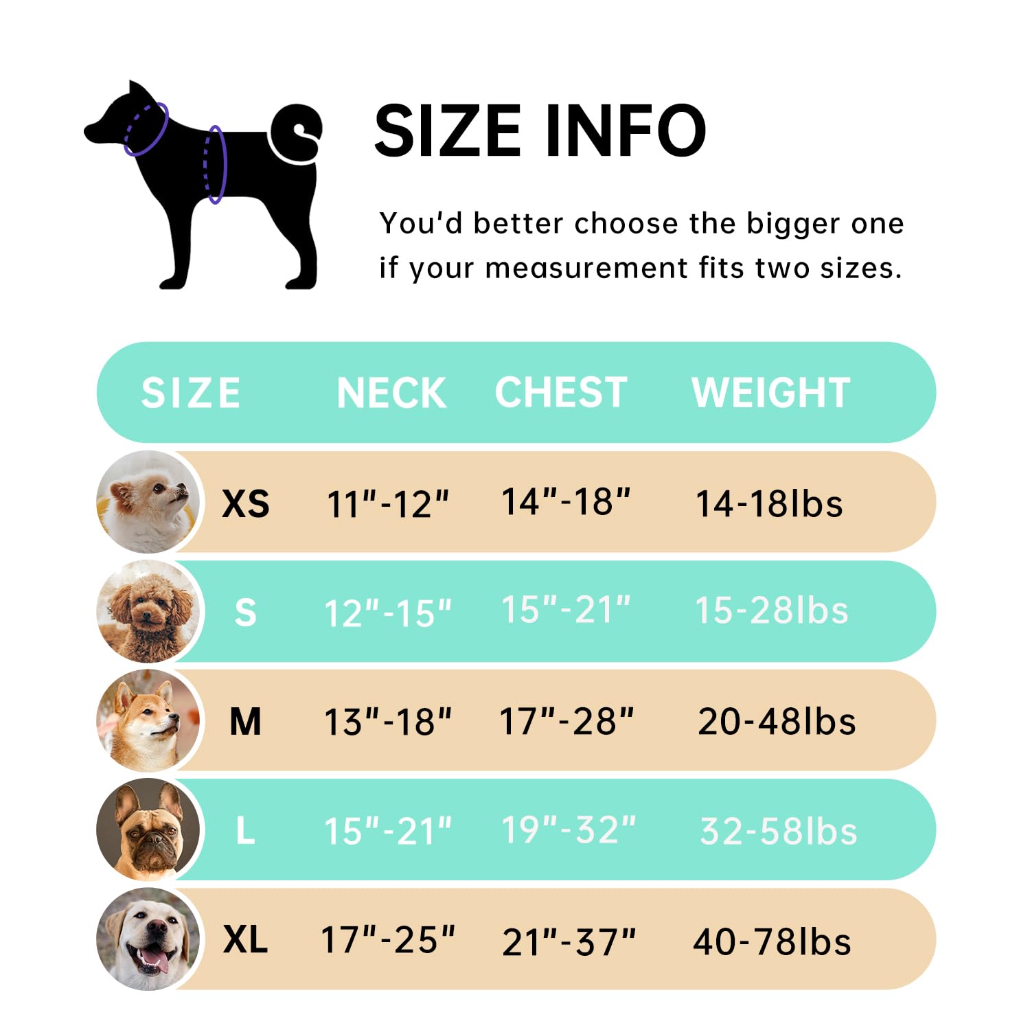 IVY&LANE No Pull Dog Harness turquoise side-adjustments for easy on and off.