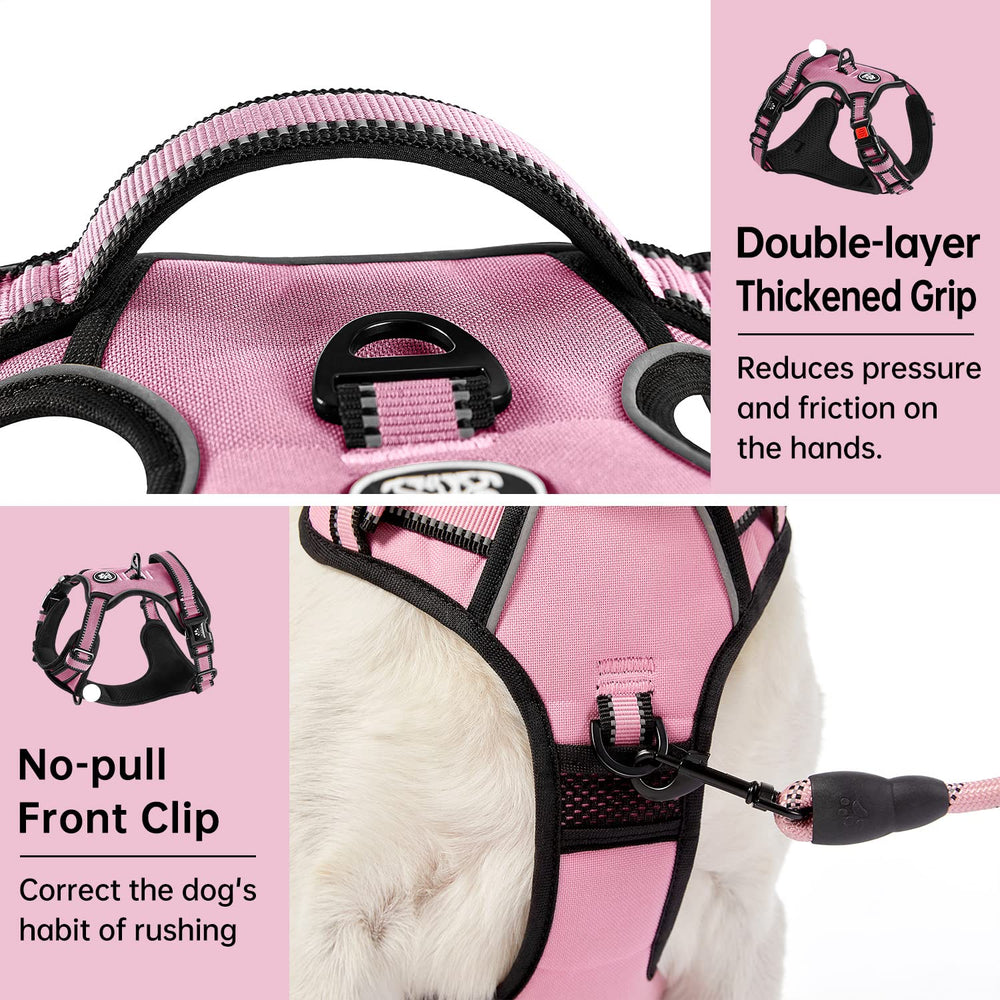 IVY&LANE No Pull Harness adjustable webbing ensures a snug fit.