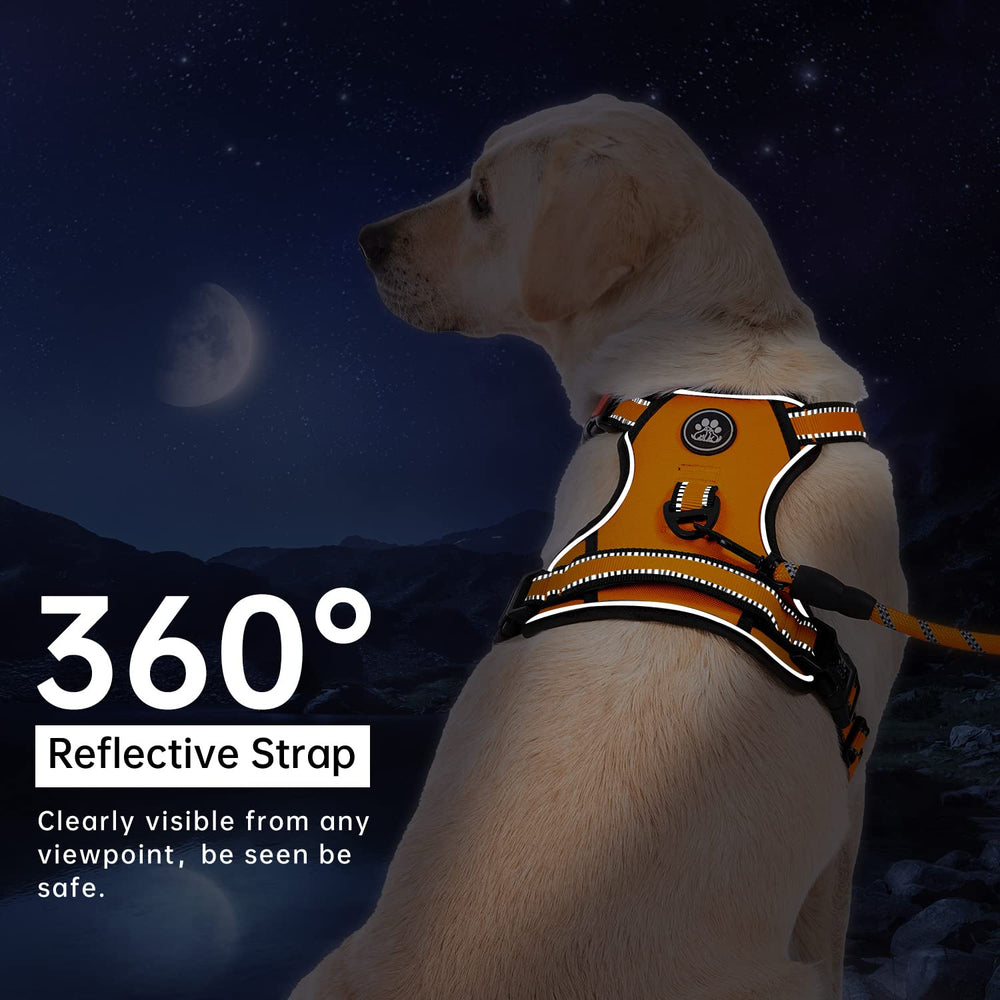 IVY&LANE No Pull Harness orange adjustable points ensure a comfortable fit.