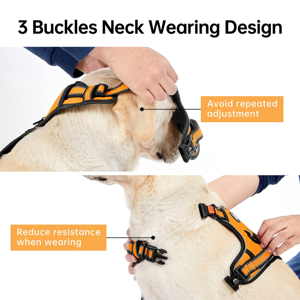 IVY&LANE orange harness highlights sturdy alloy clips and secure connection.
