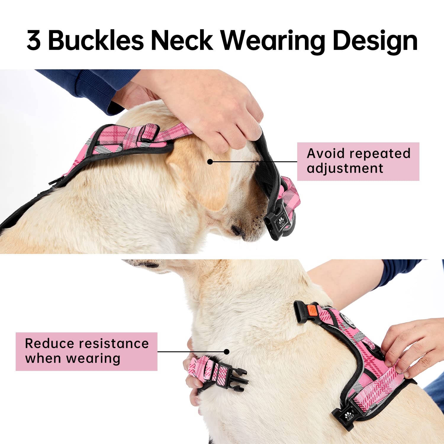 IVY&LANE reflective strips on harness enhance visibility during night walks.