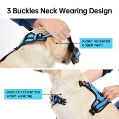 IVY&LANE complete set includes leash and storage strap for easy walks