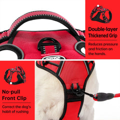 IVY&LANE No Pull Harness front clip with leash for reduced pulling