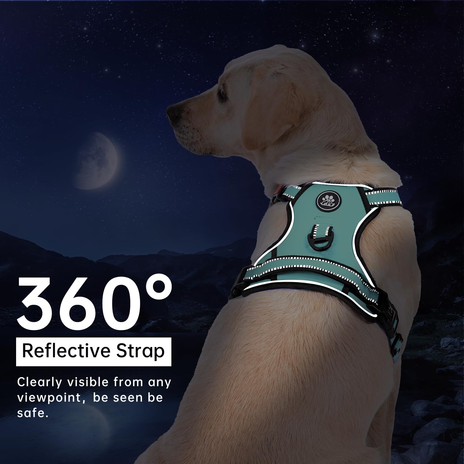 IVY&LANE easy-control handle harness turquoise XL for quick adjustments