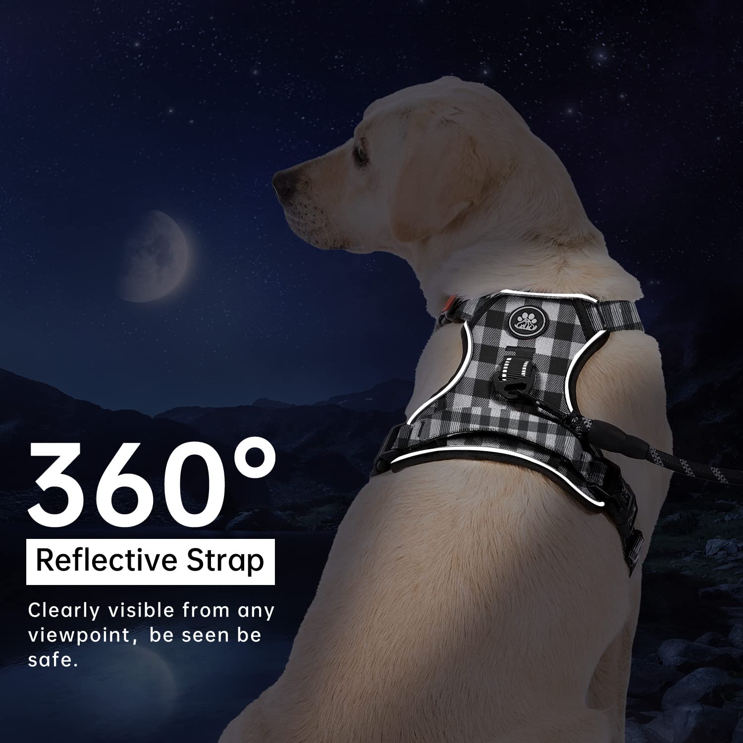 IVY&LANE soft mesh fabric keeps your dog comfortable during wear