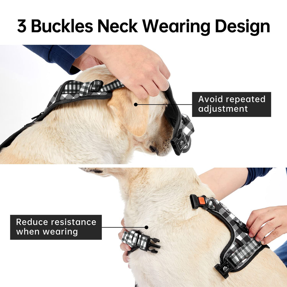 IVY&LANE professional leash included for everyday walking and training