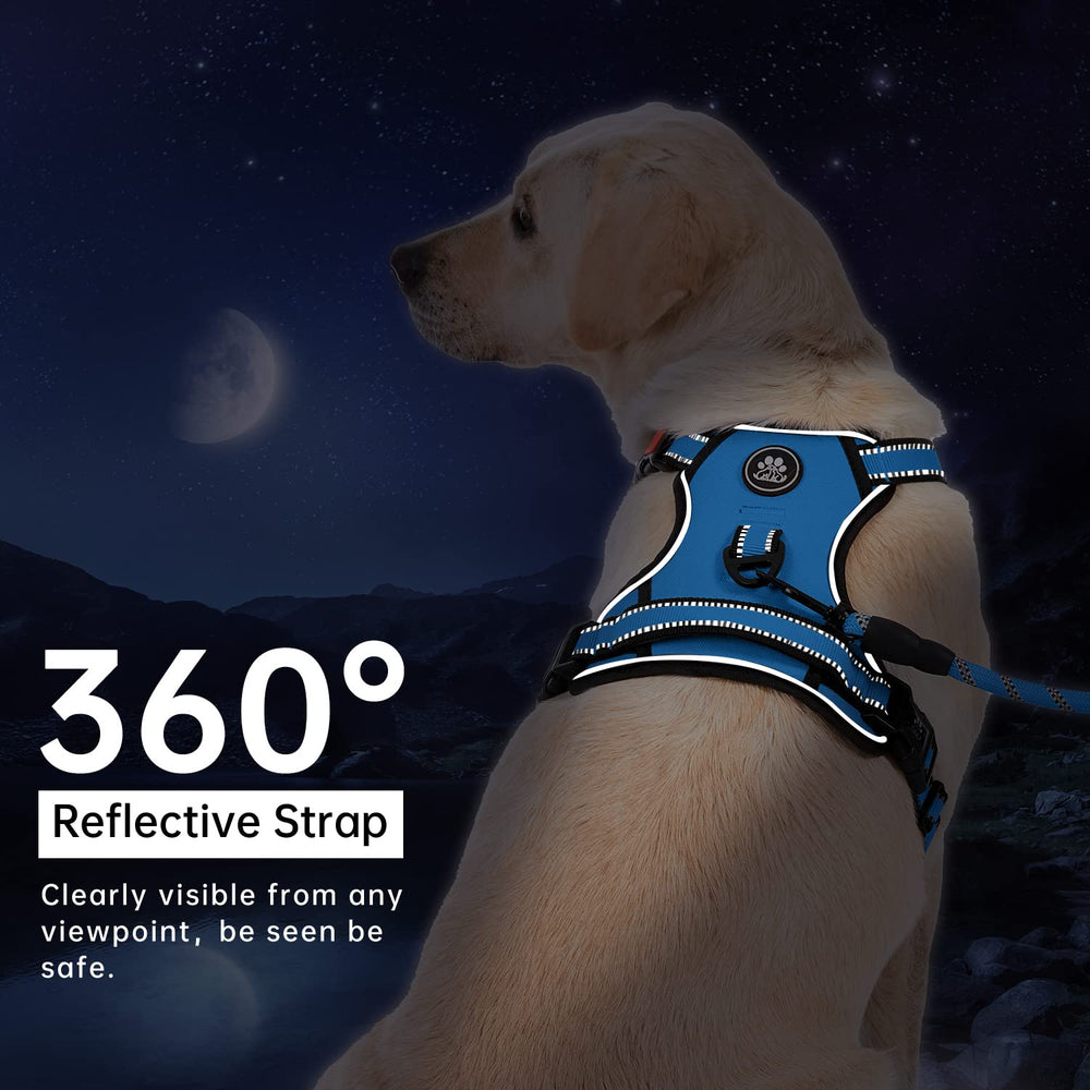 IVY&LANE lockable neck buckle adds secure fit for active dogs