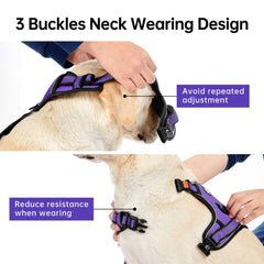IVY&LANE No Pull Harness 360-degree reflective strip for safer night walks