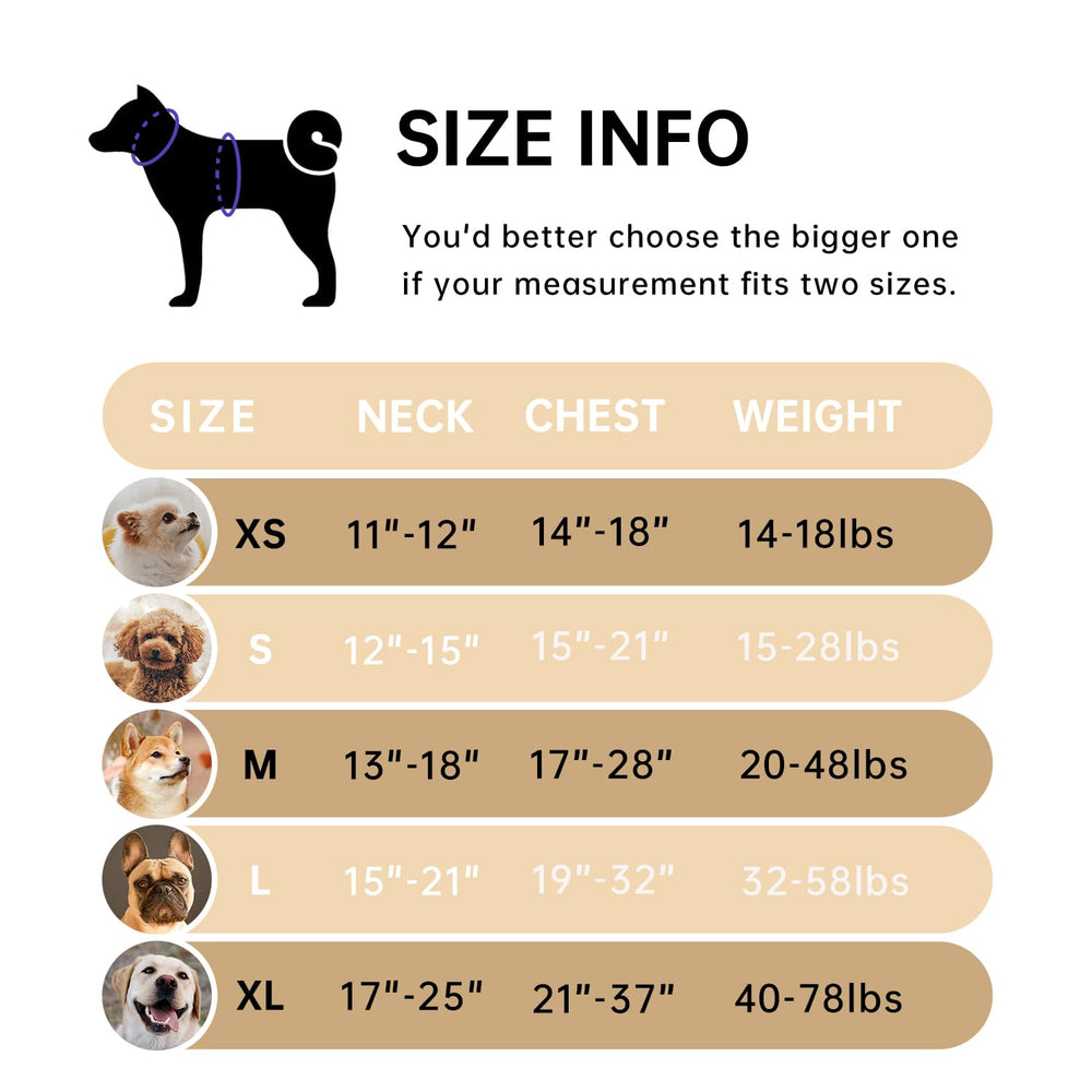 IVY&LANE No Pull harness front-attachment highlights training-friendly control during walks