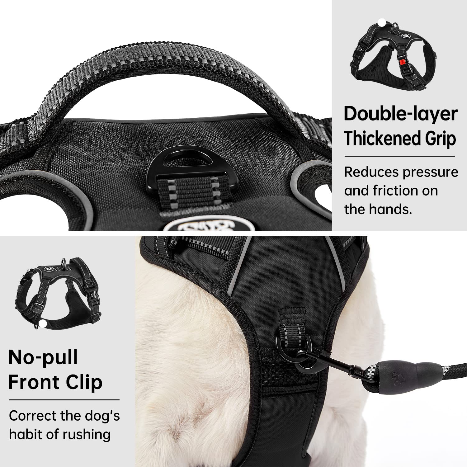 IVY&LANE No Pull harness 360-degree reflective strip for night visibility.