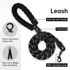 IVY&LANE No Pull harness back clip supports everyday walking.