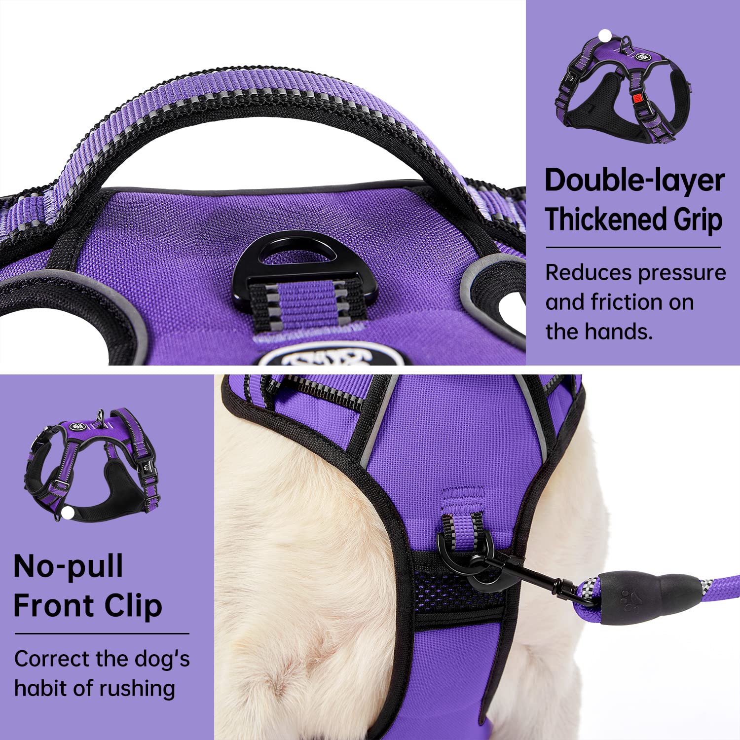 IVY&LANE No Pull Harness reflective strip in purple boosts visibility for safe night outings