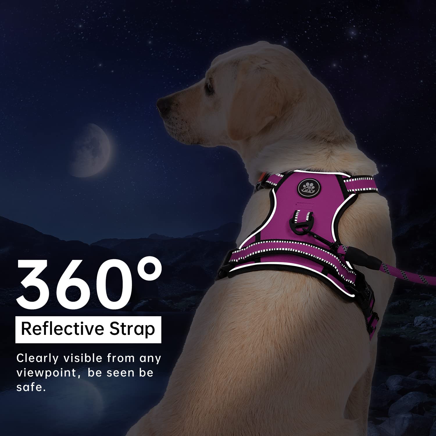 IVY&LANE No Pull Harness soft handle in fuchsia pink for easy control