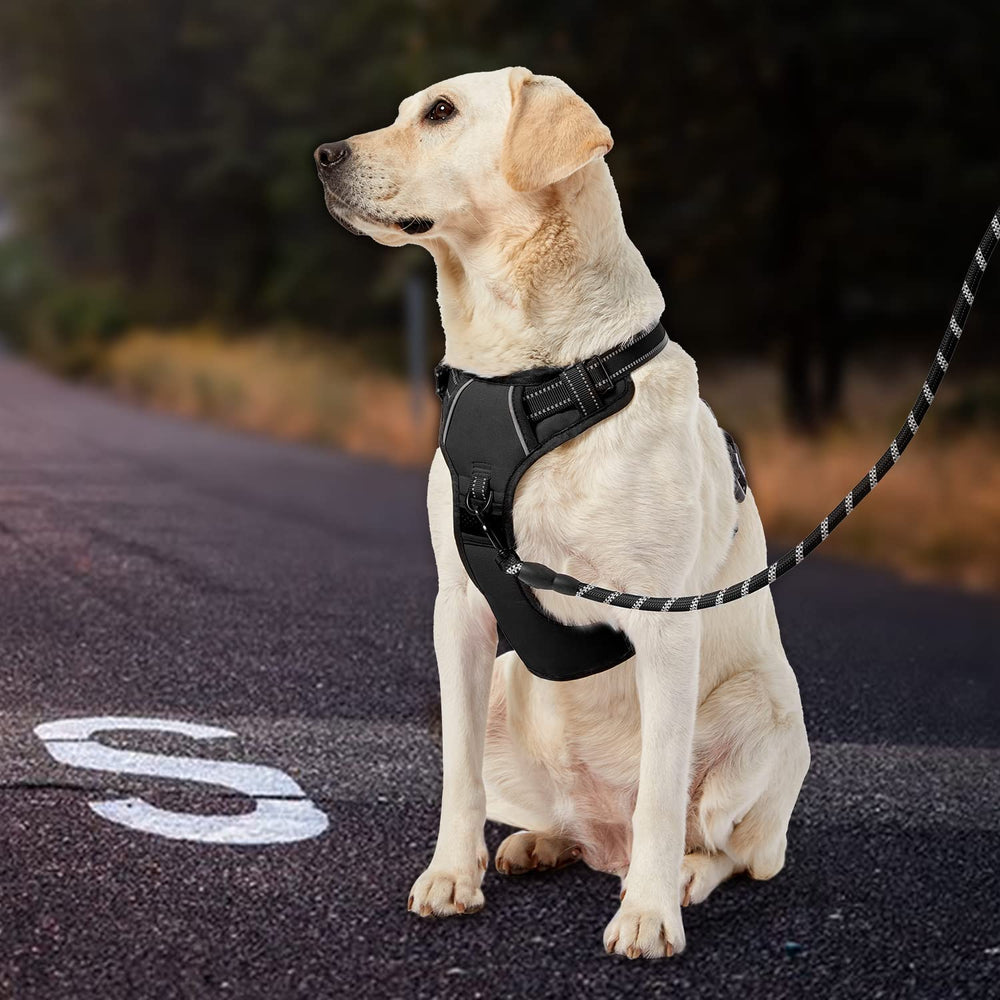 IVY&LANE No Pull harness soft-handle leash for comfortable grip.