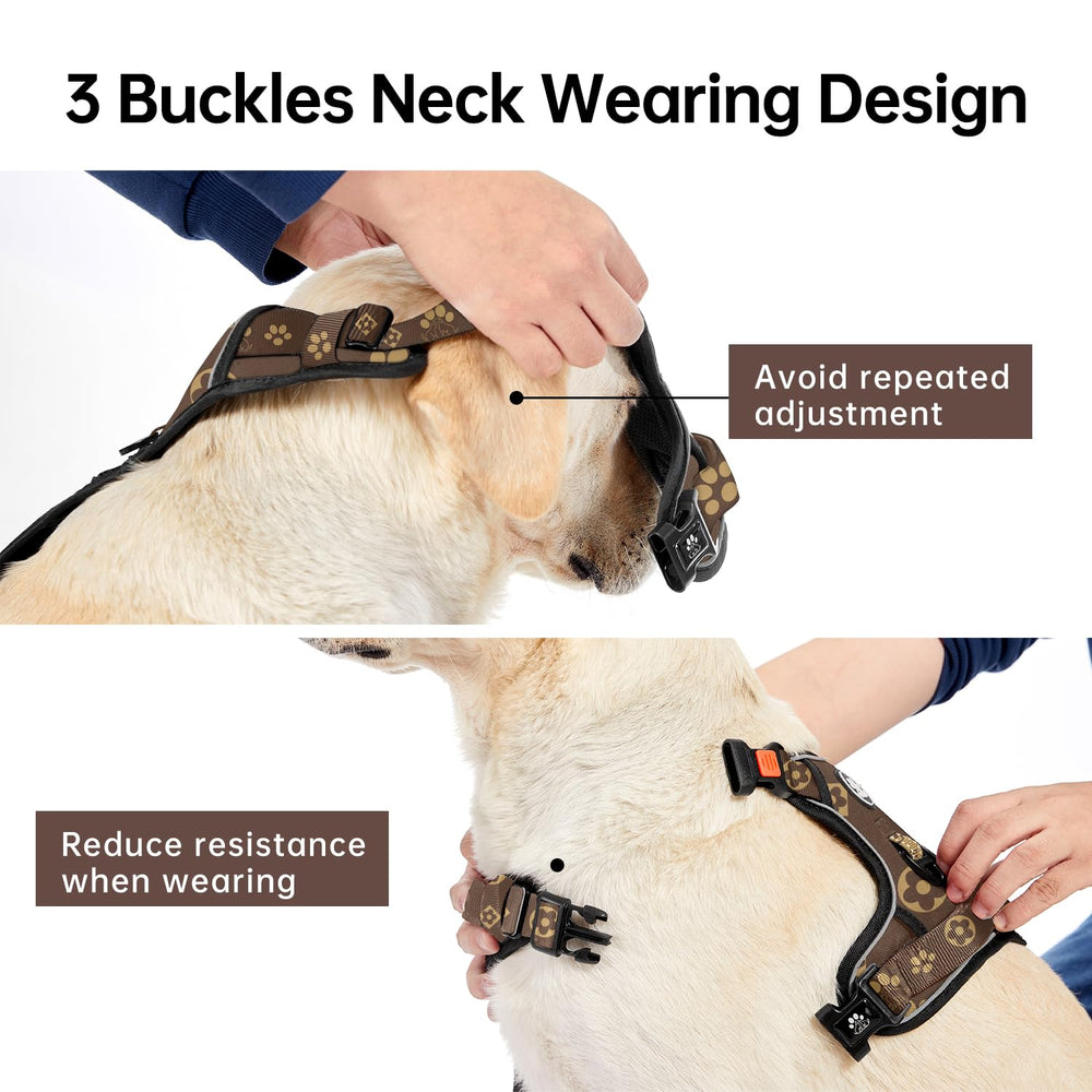 IVY&LANE reflective strips enhance visibility for nighttime dog walks