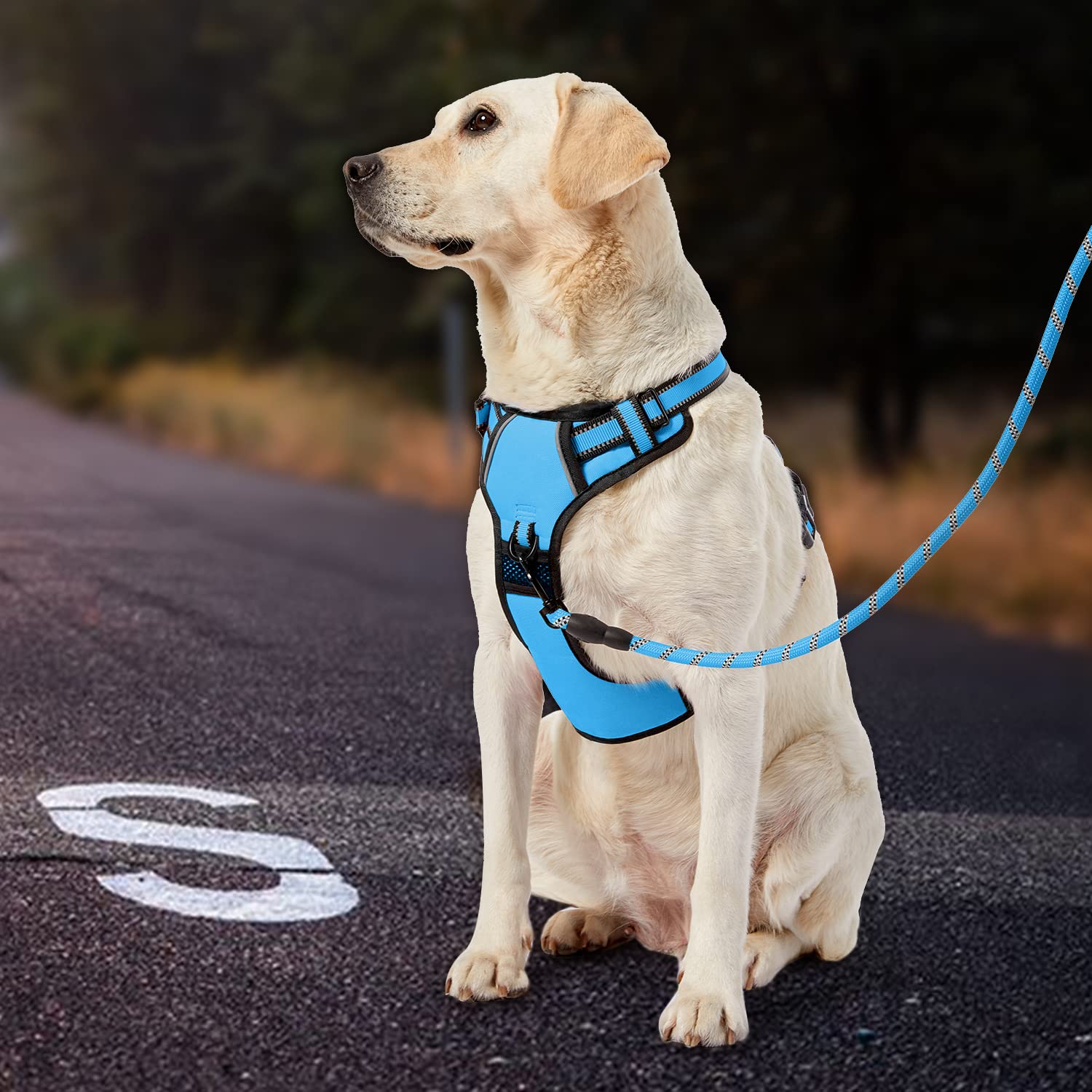 IVY&LANE soft-handle harness offers comfortable grip in training