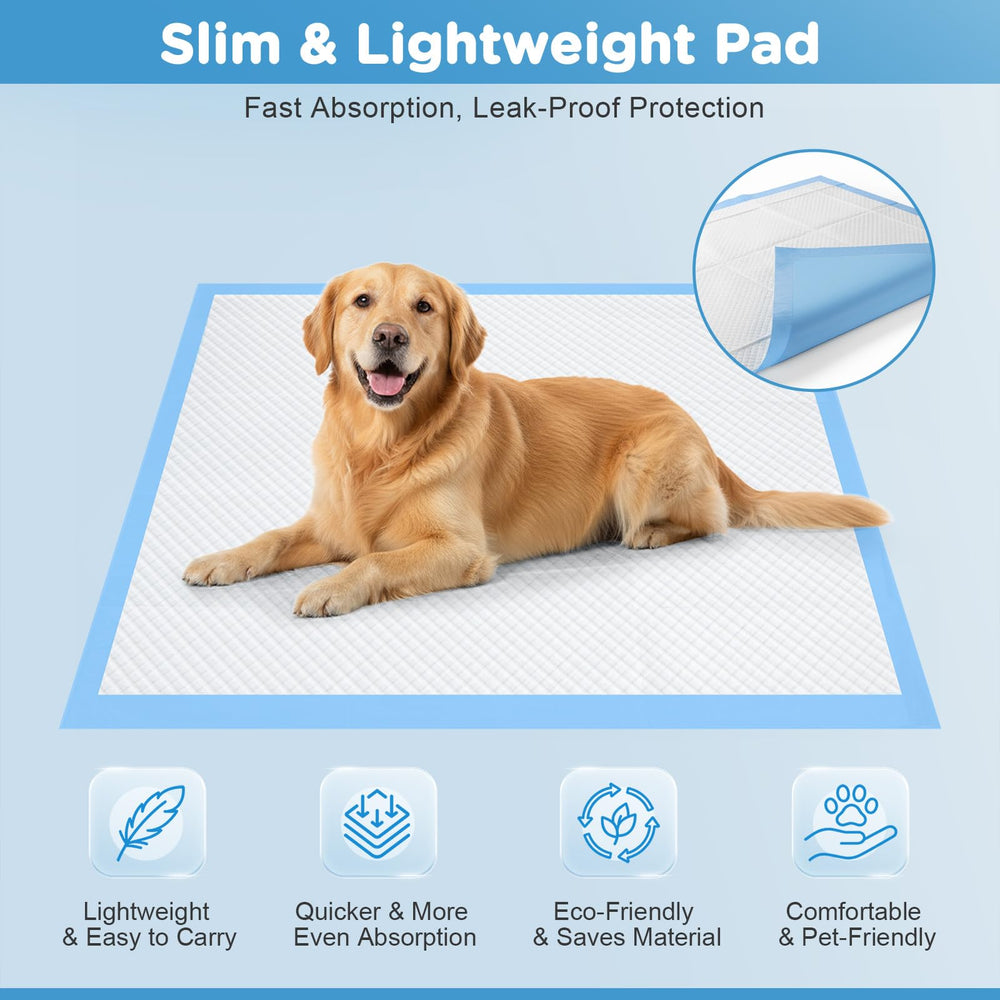 iweepet fast-drying design keeps surfaces dry after accidents