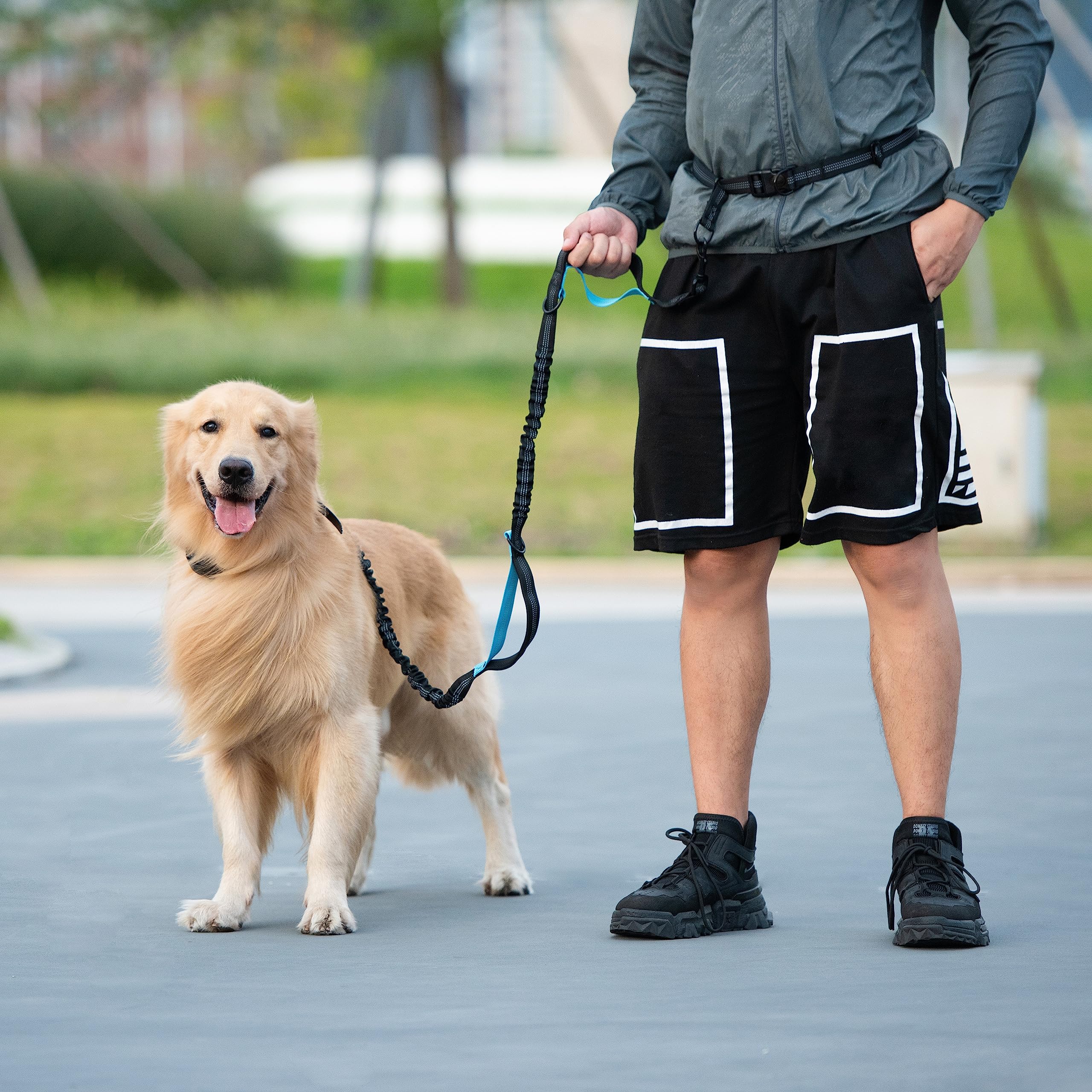 iYoShop construcción duradera adecuada para perros grandes
