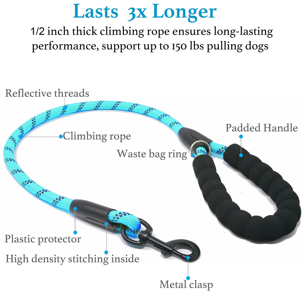 iYoShop Dual Dog Leash bungee extension absorbs shock for smoother jogging beside dogs
