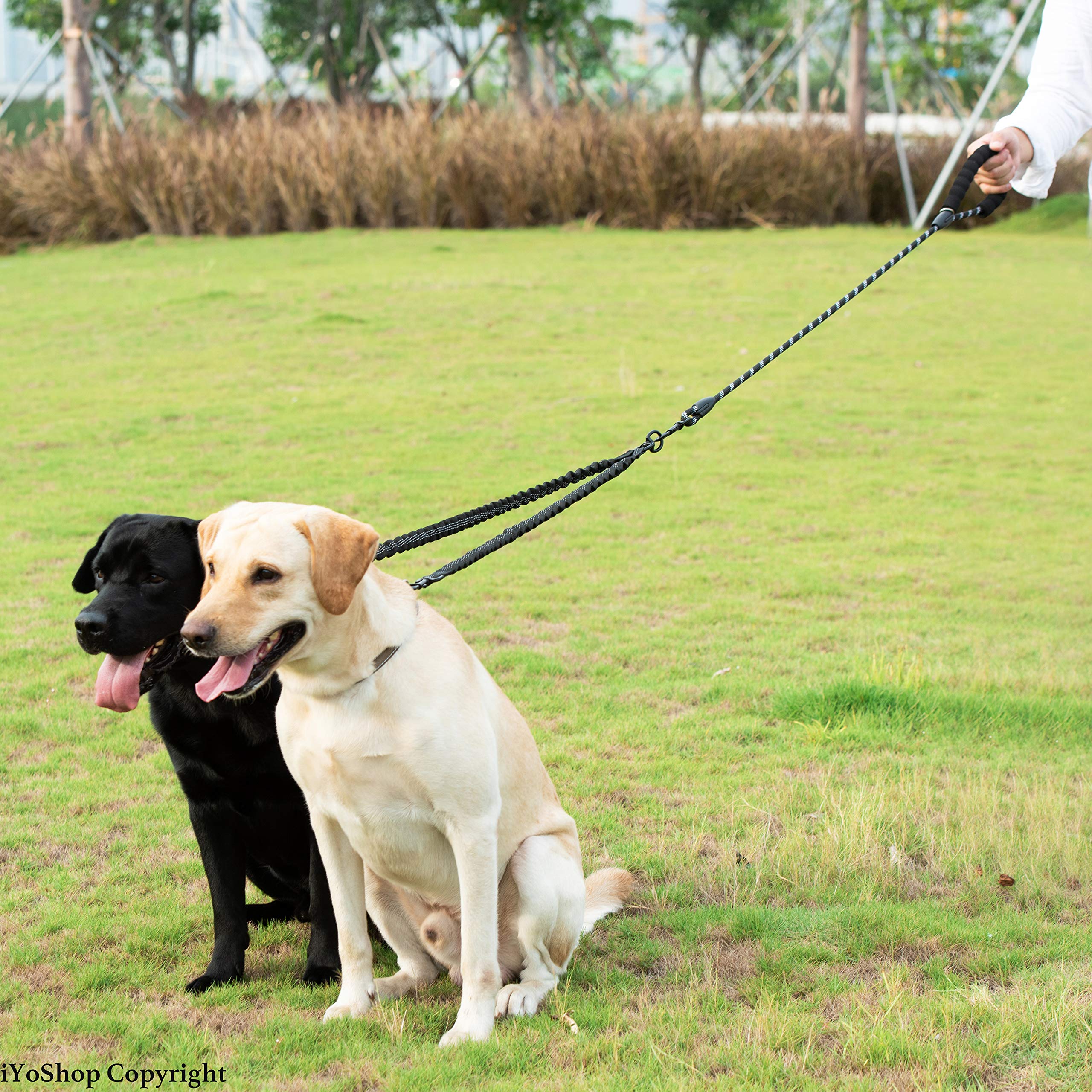 iYoShop Dual Dog Leash dogs walking side-by-side with space to explore.