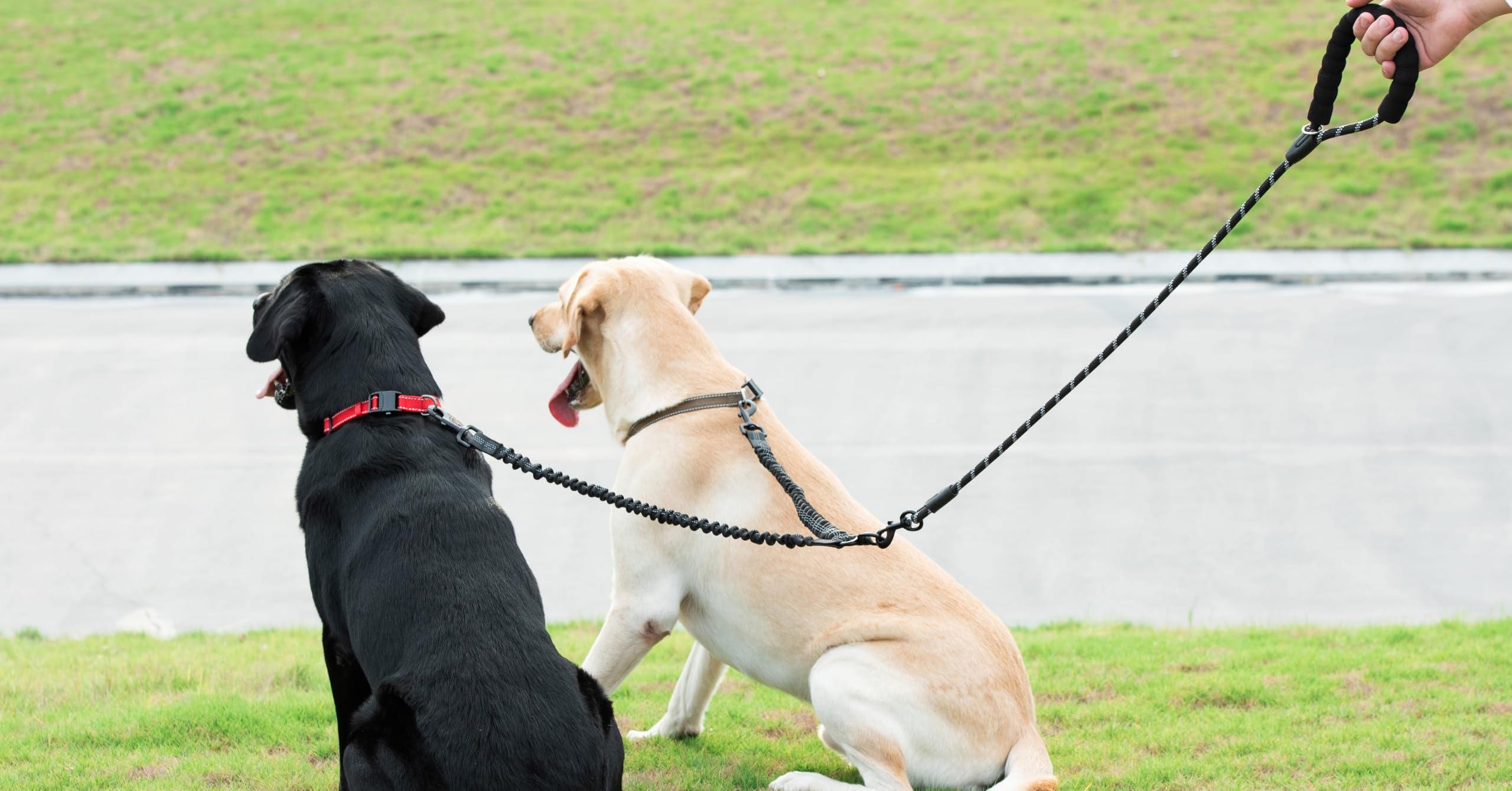iYoShop Dual Dog Leash easy-cleaning surface for quick maintenance.