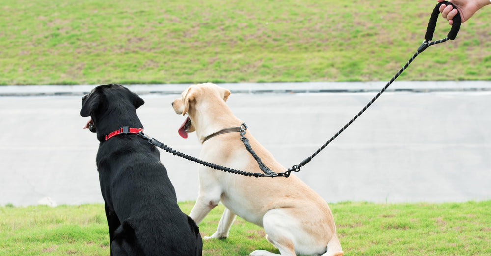 iYoShop Dual Dog Leash easy-cleaning surface for quick maintenance.