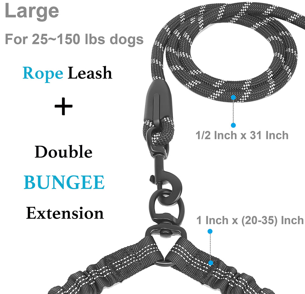 iYoShop leash features a tangle-free design for dogs moving in sync.